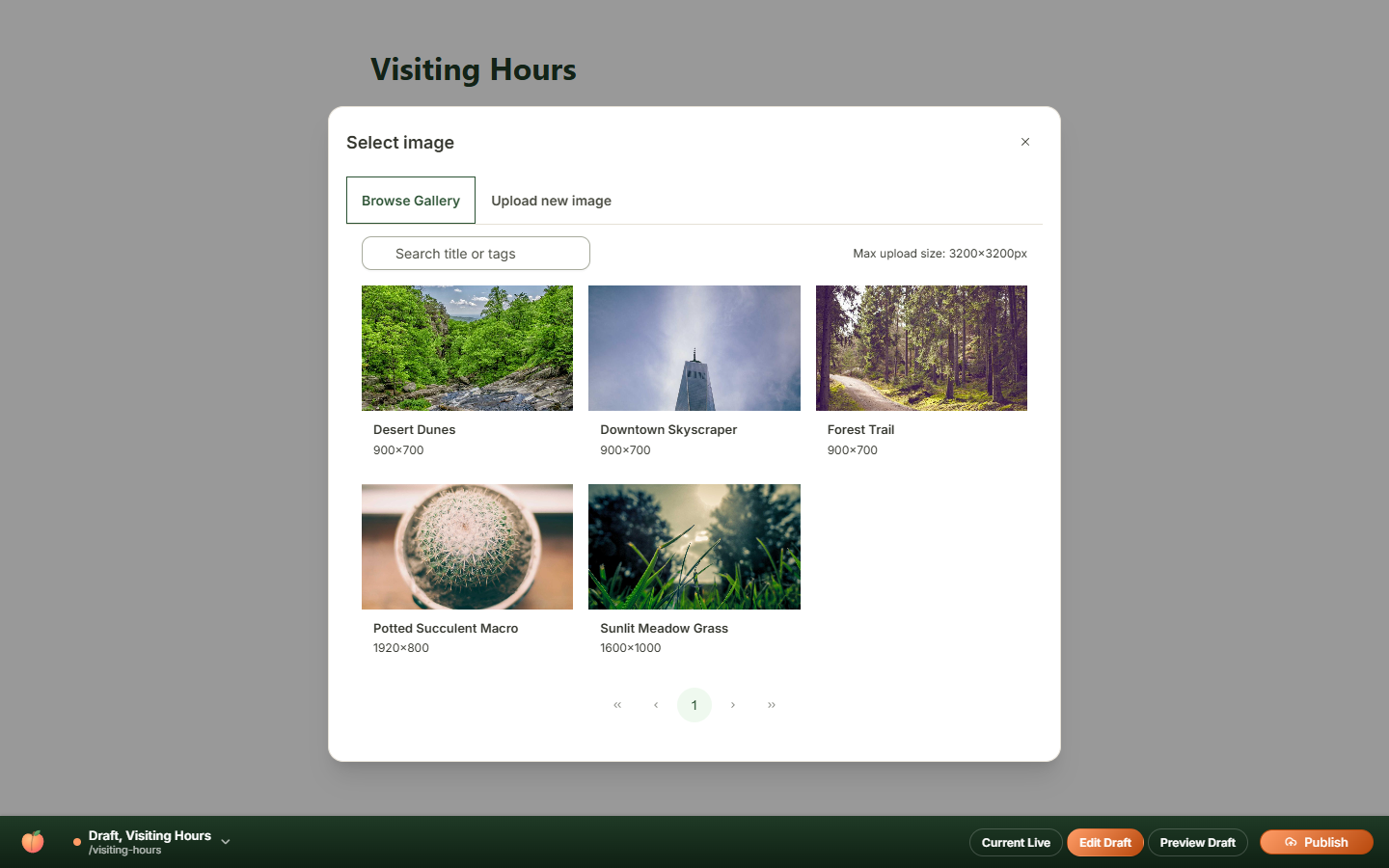 Select image dialog opened from the inline editor's image button