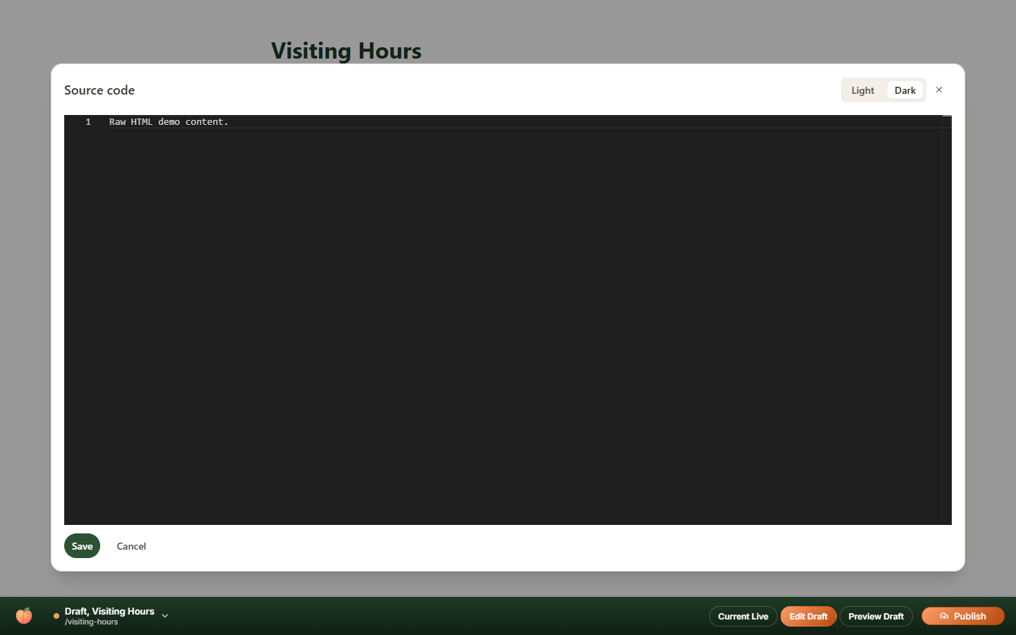 Source code editor opened from the Raw HTML block's toolbar