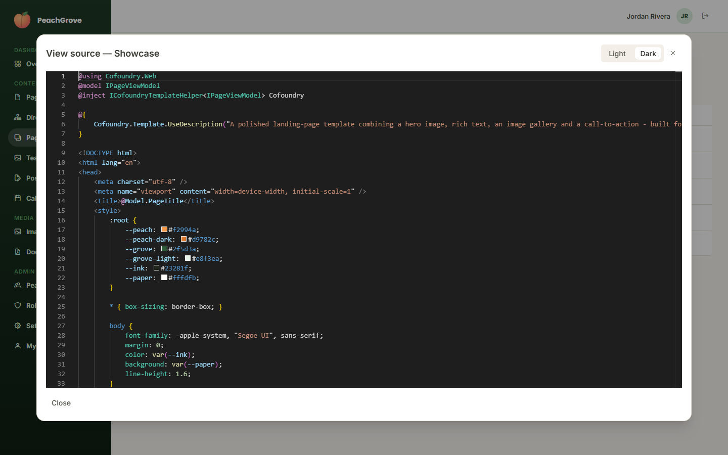 Page template source viewer