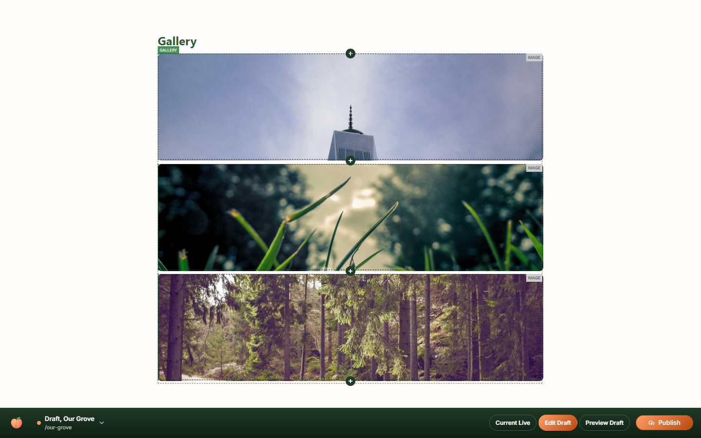 A gallery region with three image blocks added