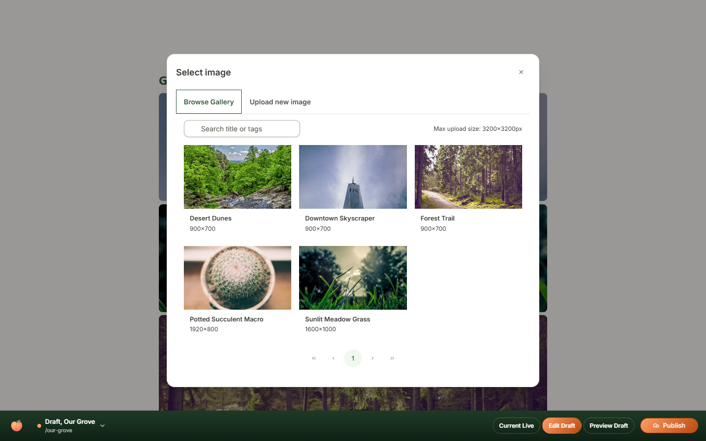 Image picker dialog