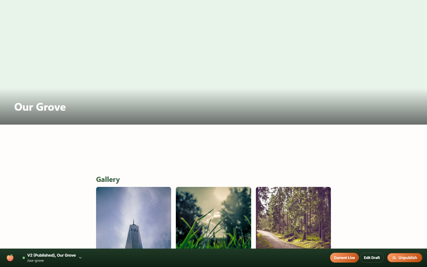 Visual Editor toolbar on a published page